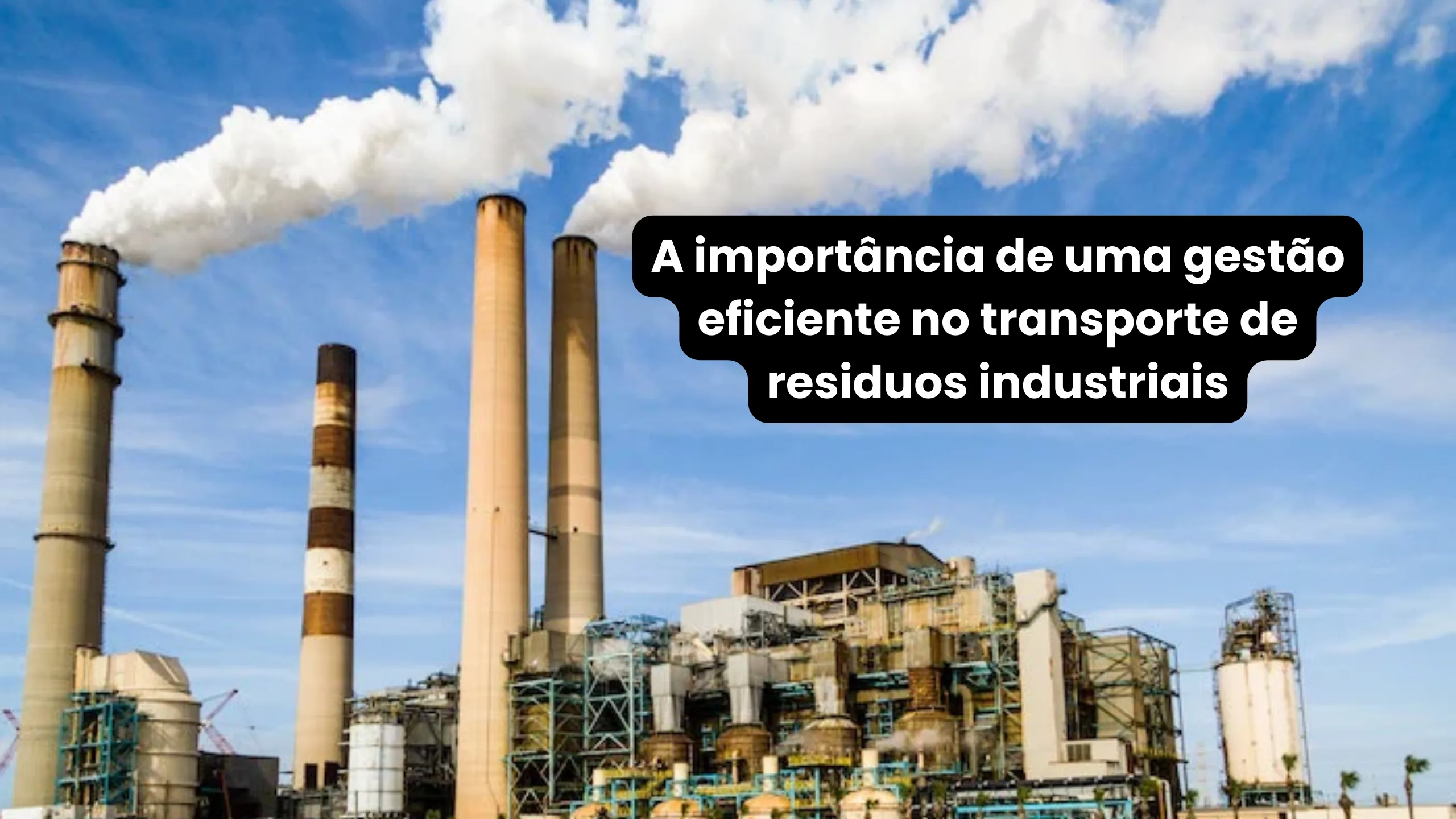A Importância de uma Gestão Eficiente no Transporte